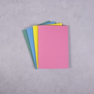 Vibrants! Pocket Dot Grid Softcover Notebook 64 pg – 4 pack (Helen McLean brand)