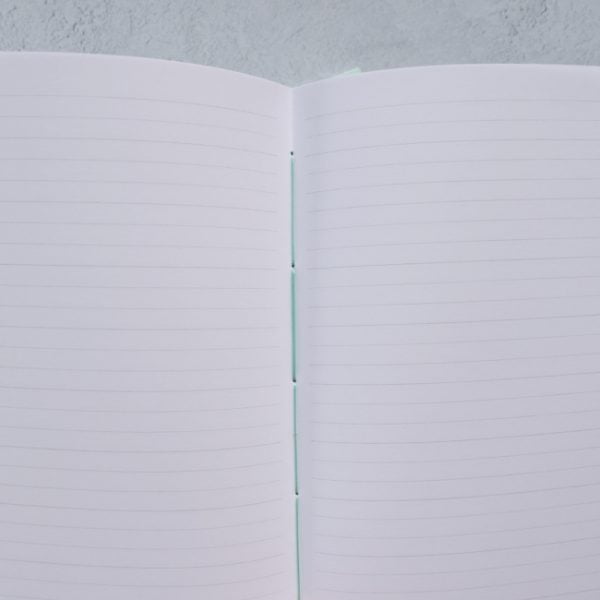 pastel traveler notebooks inside lined